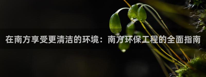 彩名堂人工计划客户端：在南方享受更清