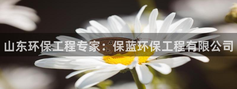 彩名堂最新版www：山东环保工程专家