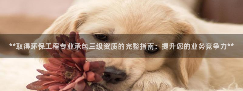 彩名堂全天计划：**取得环保工程专业承包三级资质的完整指南：提升您的业务竞争力**