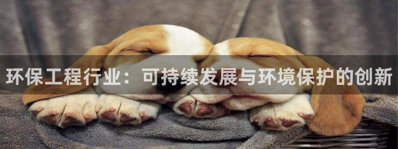 彩名堂平台：环保工程行业：可持续发展与环境保护的创新
