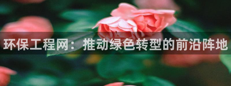 彩名堂app计划官方网站：环保工程网：推动绿色转型的前沿阵地