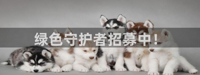 彩名堂客户端是永久免费吗安全吗是真的吗：绿色守护者招募中！