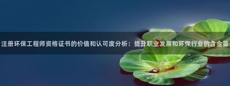 彩名堂50版本计划：注册环保工程师资