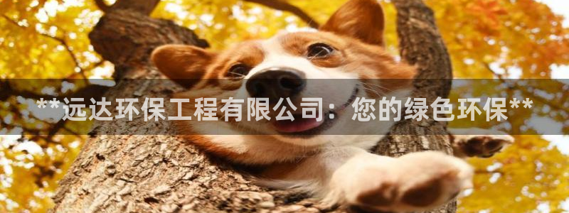 彩名堂是什么：**远达环保工程有限公司：您的绿色环保**