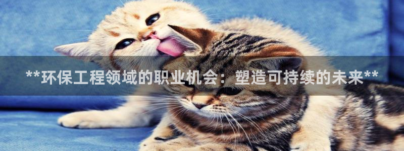 彩名堂预测网站：**环保工程领域的职