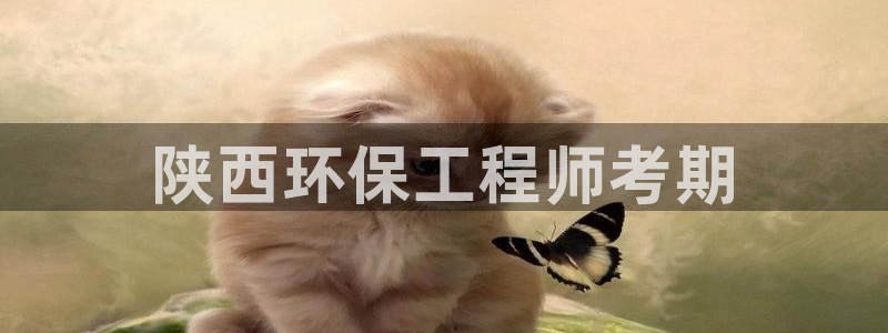 彩名堂怎么样：陕西环保工程师考期