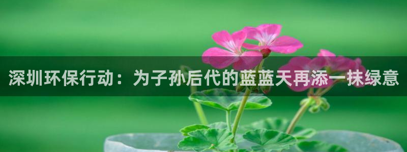 彩名堂官网网页计划：深圳环保行动：为