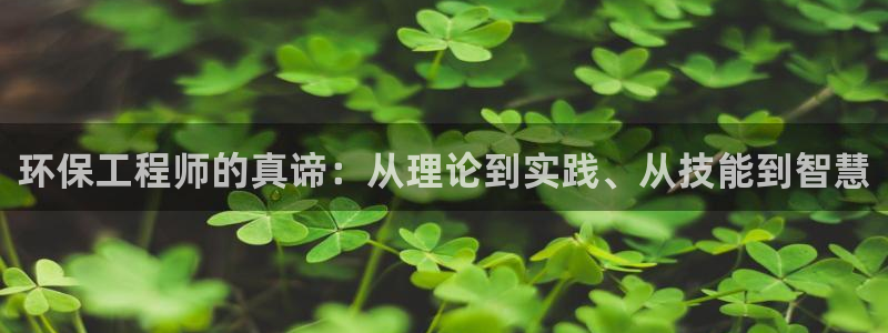 彩名堂怎么跟计划才不连挂在一起：环保工程师的真谛：从理论到实