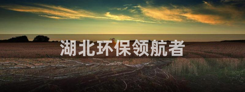 彩名堂计划官方客服：湖北环保领航者