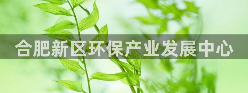 彩名堂预测软件与分析：合肥新区环保产