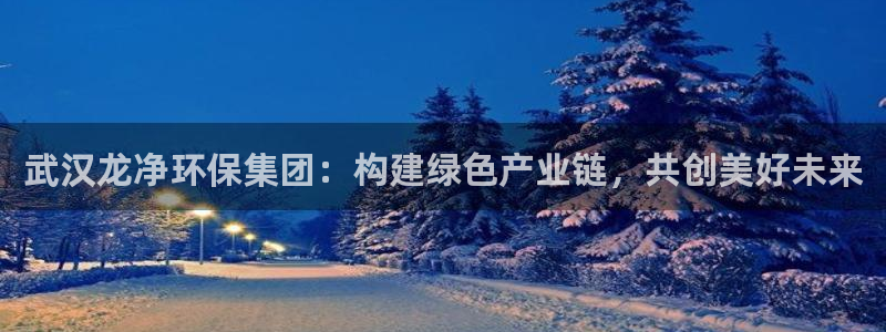 彩名堂怎么用不输：武汉龙净环保集团：