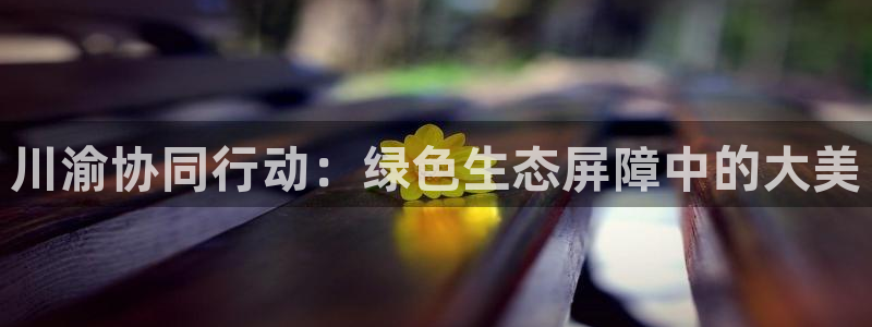 彩名堂是什么：川渝协同行动：绿色生态