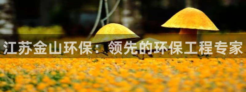 彩名堂：江苏金山环保：领先的环保工程专家