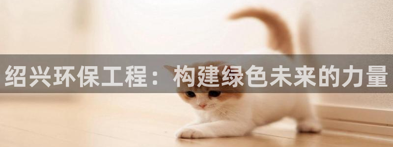 彩名堂平台：绍兴环保工程：构建绿色未