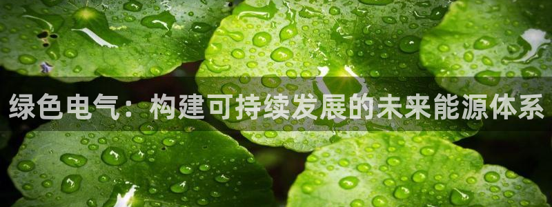 彩名堂上推荐的几个平台怎样：绿色电气