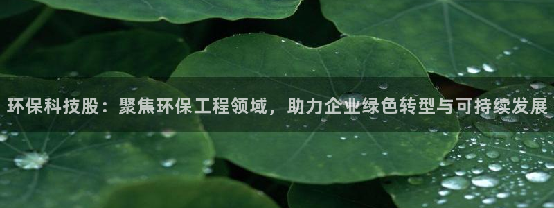 彩名堂好用还是千里马好用：环保科技股
