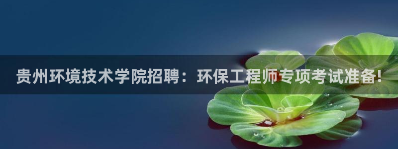 彩名堂网页：贵州环境技术学院招聘：环