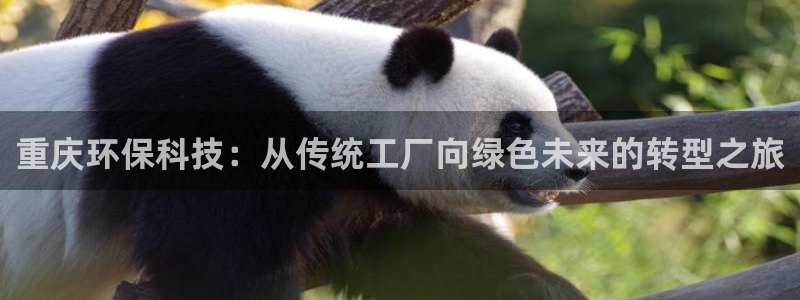 cmt彩名堂：重庆环保科技：从传统工