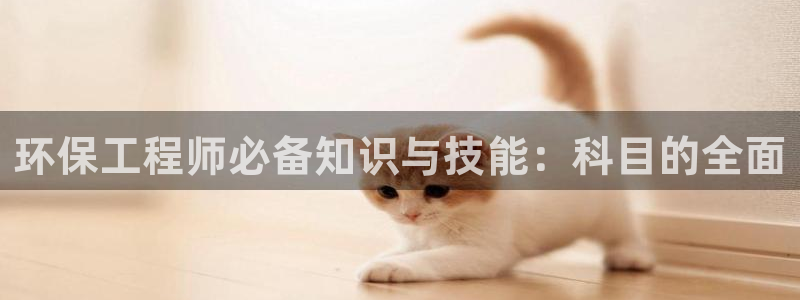 彩名堂跟哪种最好用：环保工程师必备知识与技能：科目的全面