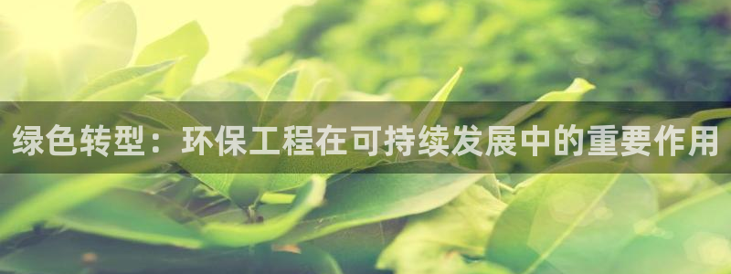 彩名堂官网在线计划怎么不更新了：绿色