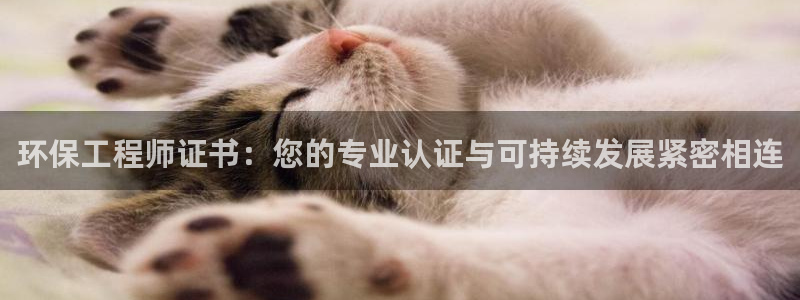 最新彩名堂计划：环保工程师证书：您的