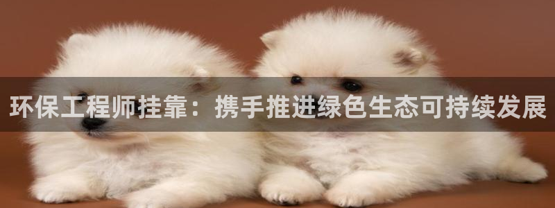 彩名堂免费计划使用方法：环保工程师挂靠：携手推进绿色生态可持