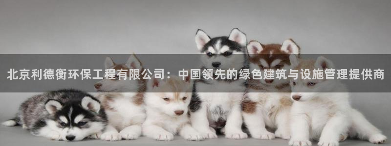 彩名堂客户端加拿大：北京利德衡环保工程有限公司：中国领先的绿