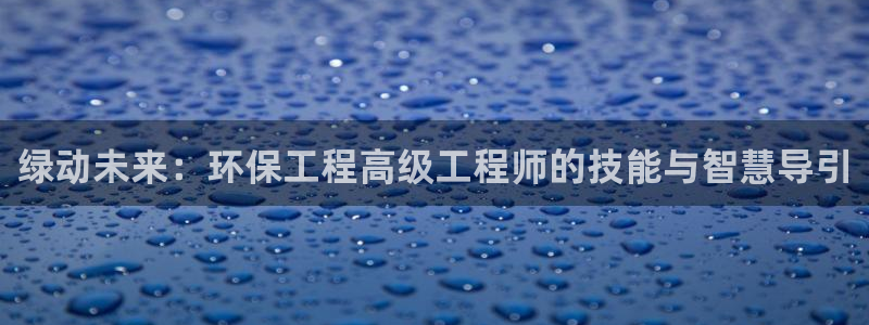 彩名堂官网在线计划：绿动未来：环保工程高级工程师的技能与智慧