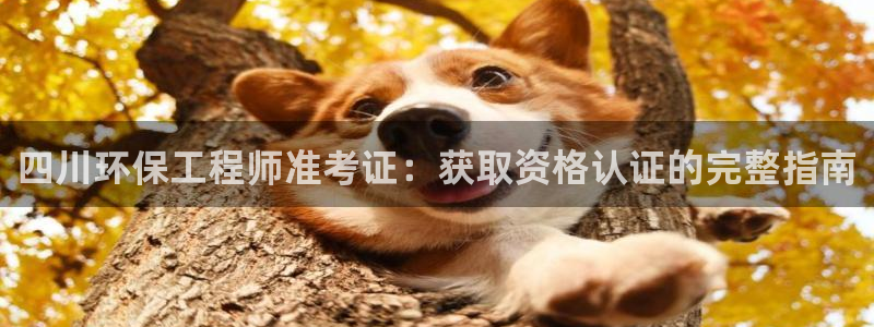 彩名堂怎么选稳定计划：四川环保工程师准考证：获取资格认证的完