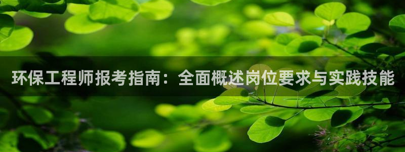 为什么彩名堂今天不能用：环保工程师报考指南：全面概述岗位要求