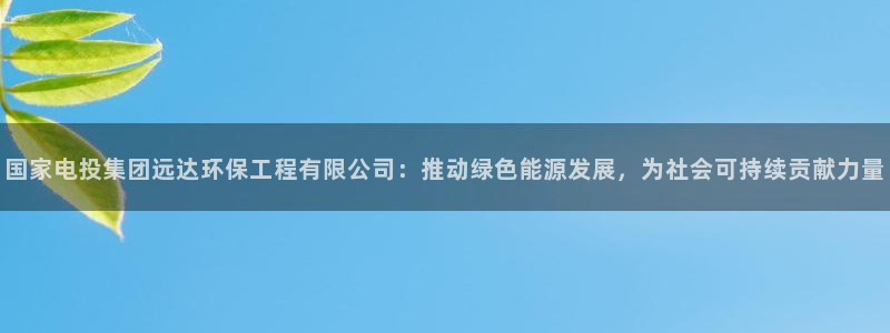 彩名堂免费计划官网老版本：国家电投集