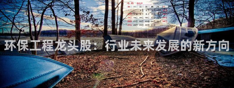 彩名堂官方软件下载：环保工程龙头股：