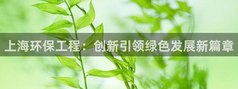 彩名堂官网：上海环保工程：创新引领绿