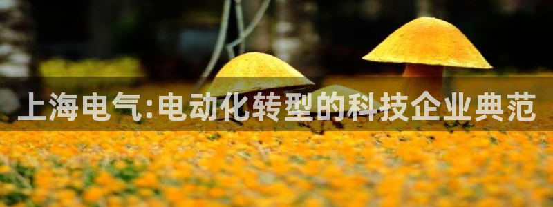 彩名堂不能用了吗：上海电气:电动化转