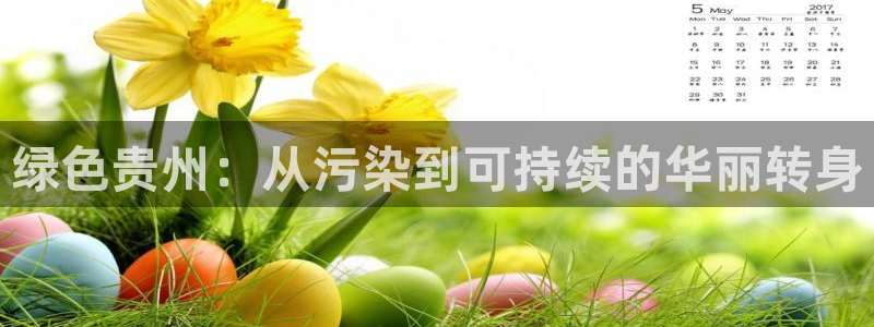 彩名堂5.0计划永久免费版为什么下不