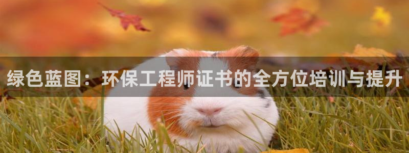 彩名堂移动客户端官网：绿色蓝图：环保工程师证书的全方位培训与