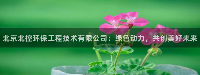 彩名堂预测免费计划怎么看的：北京北控