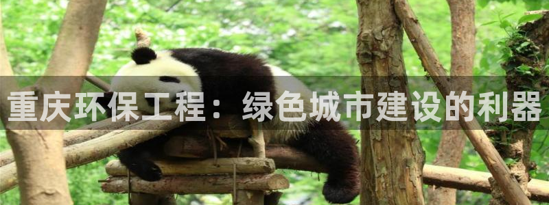 彩名堂app官方下载：重庆环保工程：绿色城市建设的利器