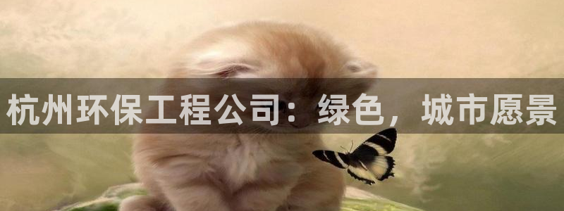彩名堂手机版官网：杭州环保工程公司：