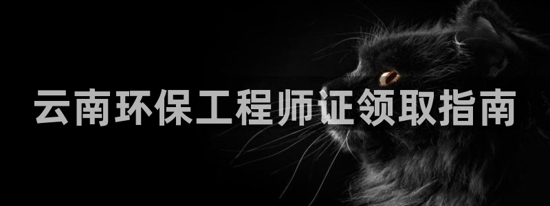 彩名堂平台：云南环保工程师证领取指南