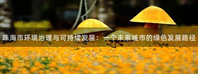 彩名堂app计划官方网站：珠海市环境治理与可持续发展：一个未