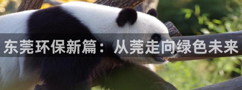 彩名堂App下载：东莞环保新篇：从莞走向绿色未来