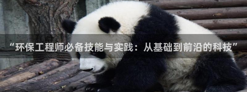 彩名堂怎么用不输：“环保工程师必备技能与实践：从基础到前沿的