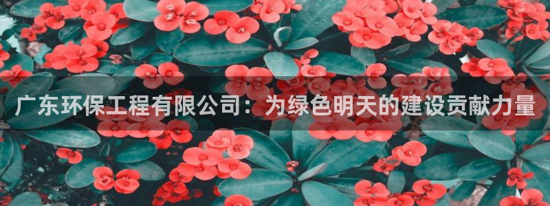 彩名堂苹果客户端怎么下载：广东环保工程有限公司：为绿色明天的