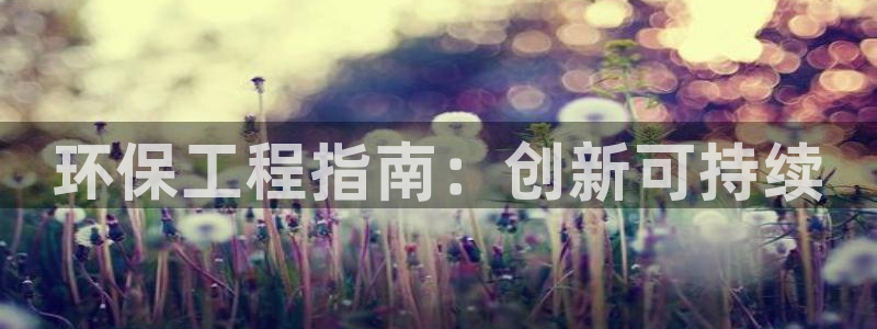 彩名堂怎么不能用了：环保工程指南：创新可持续