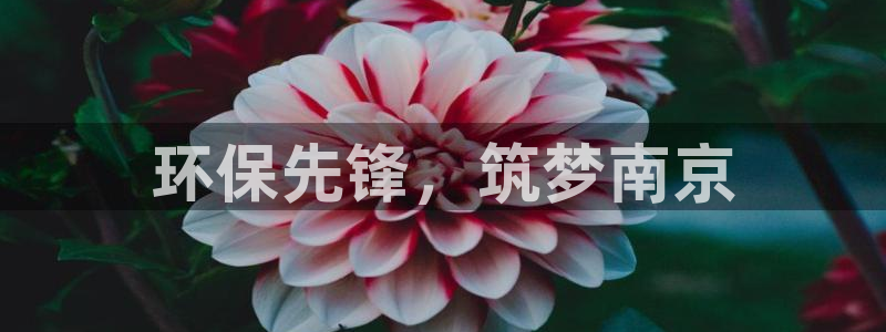 彩名堂二维码：环保先锋，筑梦南京