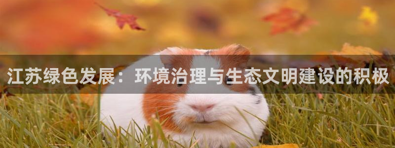 彩名堂计划怎么跟不挂：江苏绿色发展：环境治理与生态文明建设的