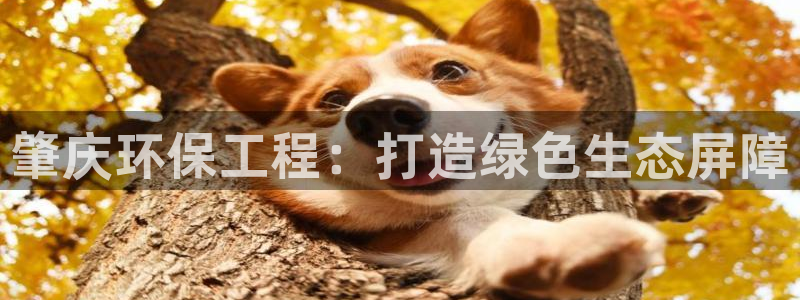 彩名堂移动客户端：肇庆环保工程：打造绿色生态屏障