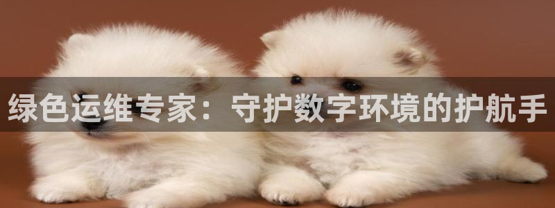 彩名堂5.0!：绿色运维专家：守护数字环境的护航手