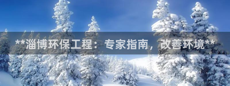 彩名堂官网：**淄博环保工程：专家指南，改善环境**
